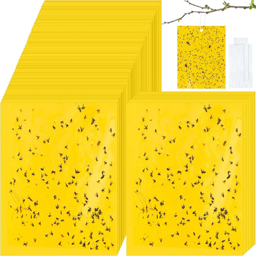 🦟🐛🍃Double Sided Sticky Bug Traps(1 Pack (20 pcs) 4 sales