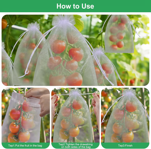 🔥Fruit Protection Bags（1 Pack - 50pcs）