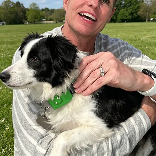 12 Months Flea and Tick Free