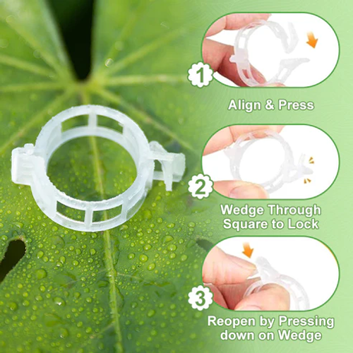 🥳2026 HOT SALE🥳💞100K+ SOLD!✨ 💝Secured Plastic Plant Clips(100 pcs, PACK)