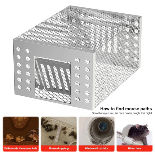 🐀🐀🐀Vang muizen veilig en humaan met Mouse Trap!