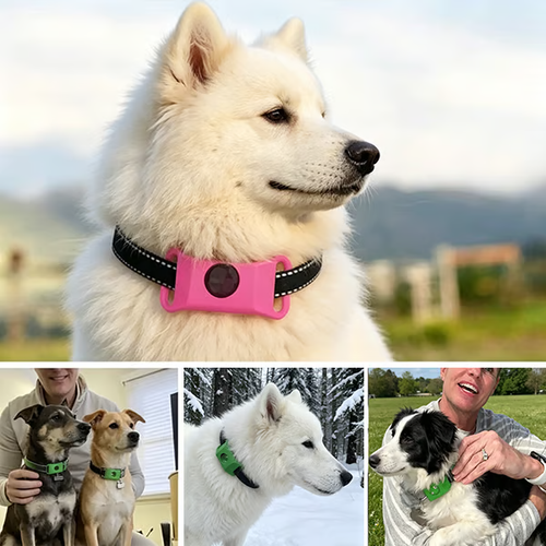 12 Months Flea and Tick Free