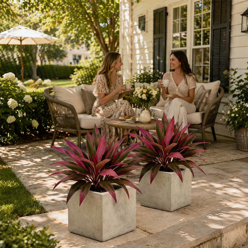 🔥 LAST DAY 50% OFF! 🏡🌿Artificial Red Cordyline Ti Plant – No-Fuss Year-Round Vibrant Foliage!