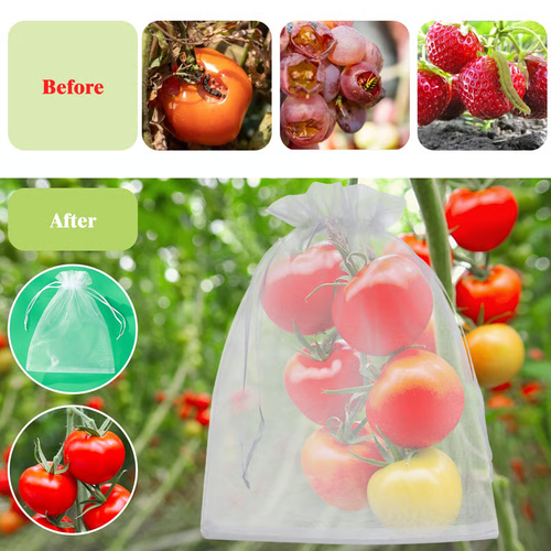 🔥Fruit Protection Bags（1 Pack - 50pcs）
