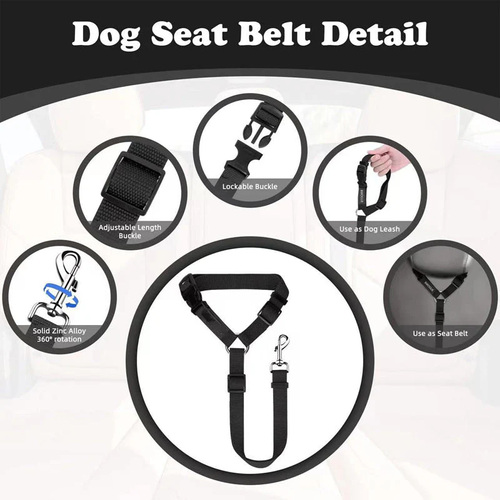 2-in-1 Dog Car Seat Belt & Walking Leash