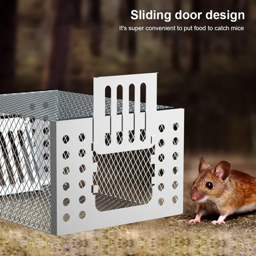 🐀🐀🐀Vang muizen veilig en humaan met Mouse Trap!