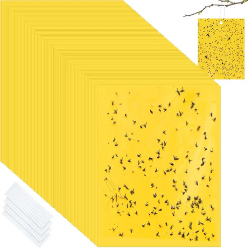 🦟🐛🍃Double Sided Sticky Bug Traps(1 Pack (20 pcs) 4 sales
