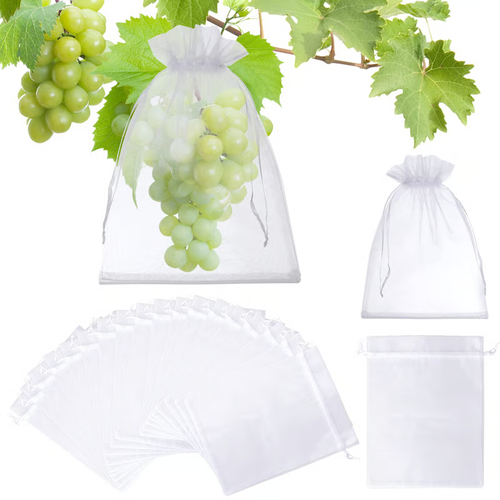 🔥Fruit Protection Bags（1 Pack - 50pcs）