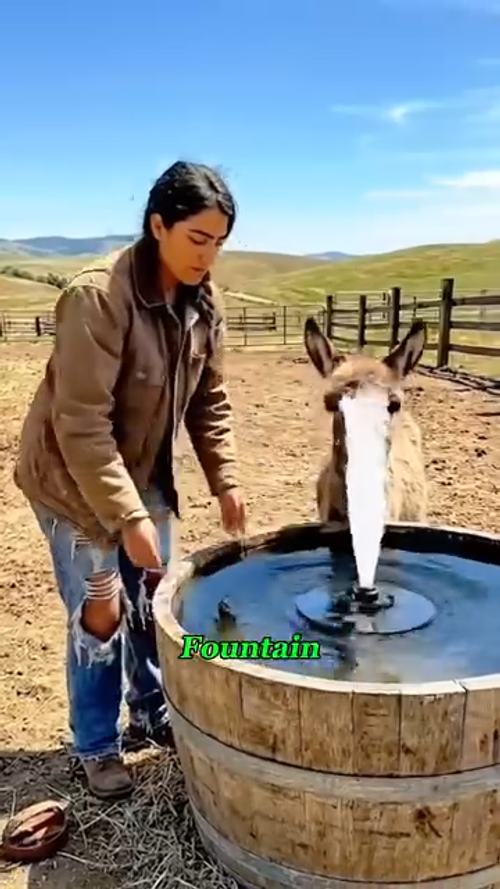 Solar Garden Fountain（8 nozzles )