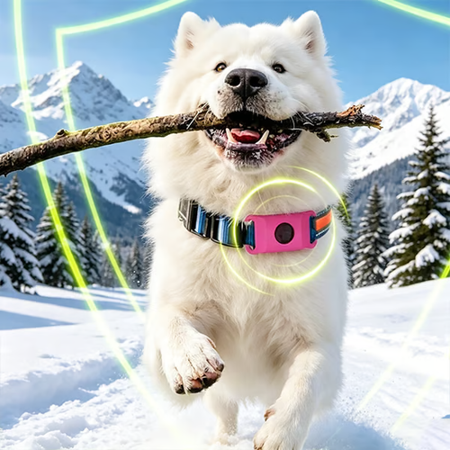 12 Months Flea and Tick Free