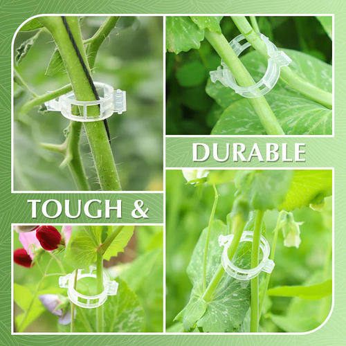 🥳2026 HOT SALE🥳💞100K+ SOLD!✨ 💝Secured Plastic Plant Clips(100 pcs, PACK)