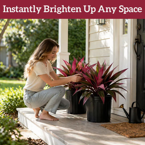 🔥 LAST DAY 50% OFF! 🏡🌿Artificial Red Cordyline Ti Plant – No-Fuss Year-Round Vibrant Foliage!