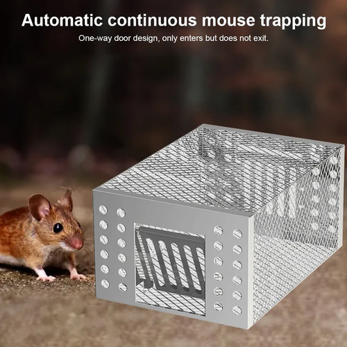 🐀🐀🐀Vang muizen veilig en humaan met Mouse Trap!