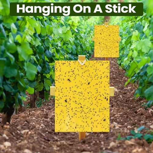 🦟🐛🍃Double Sided Sticky Bug Traps(1 Pack (20 pcs) 4 sales