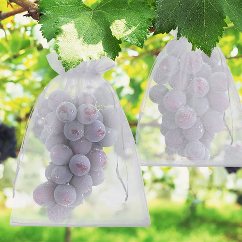 🔥Fruit Protection Bags（1 Pack - 50pcs）