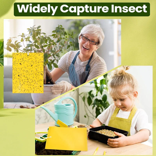 🦟🐛🍃Double Sided Sticky Bug Traps(1 Pack (20 pcs) 4 sales