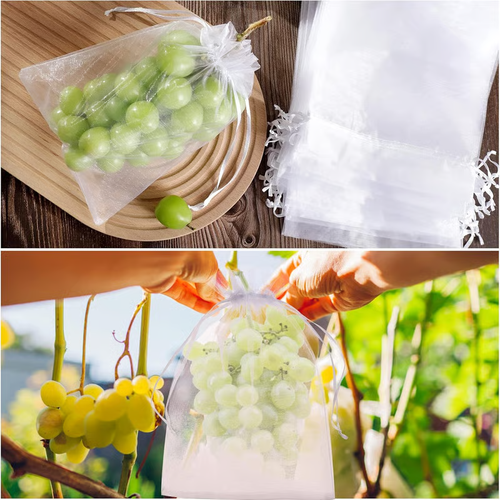 🔥Fruit Protection Bags（1 Pack - 50pcs）