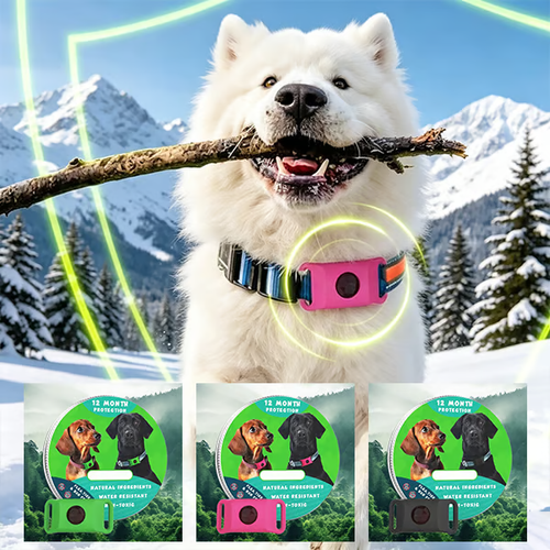 12 Months Flea and Tick Free