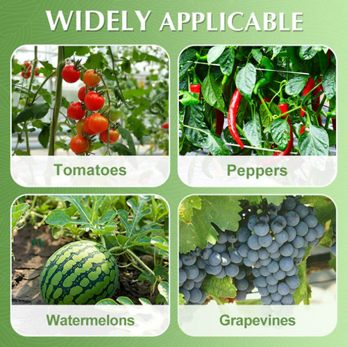 🥳2026 HOT SALE🥳💞100K+ SOLD!✨ 💝Secured Plastic Plant Clips(100 pcs, PACK)