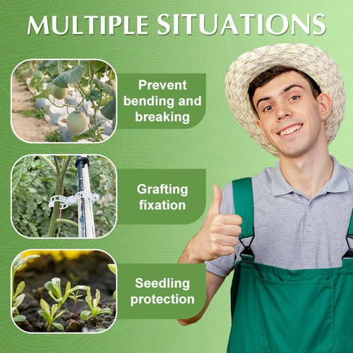 🥳2026 HOT SALE🥳💞100K+ SOLD!✨ 💝Secured Plastic Plant Clips(100 pcs, PACK)