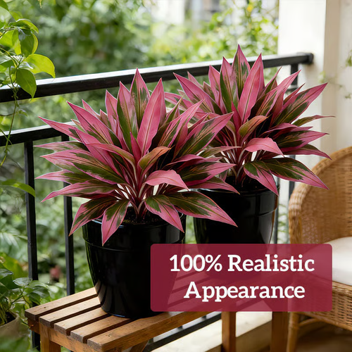 🔥 LAST DAY 50% OFF! 🏡🌿Artificial Red Cordyline Ti Plant – No-Fuss Year-Round Vibrant Foliage!