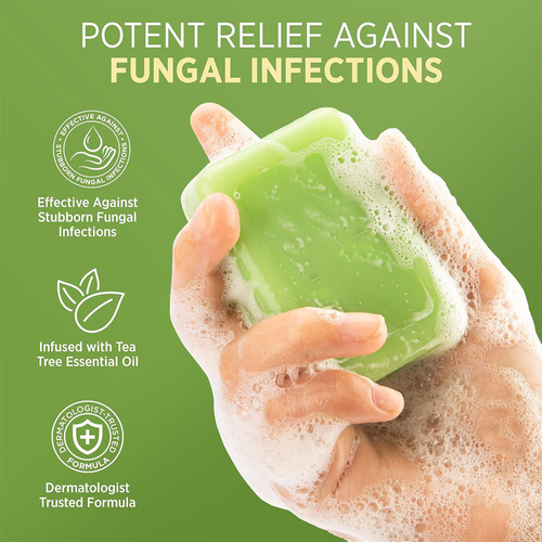 tea tree soap