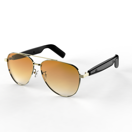 AI-Powered Translation Sunglasses