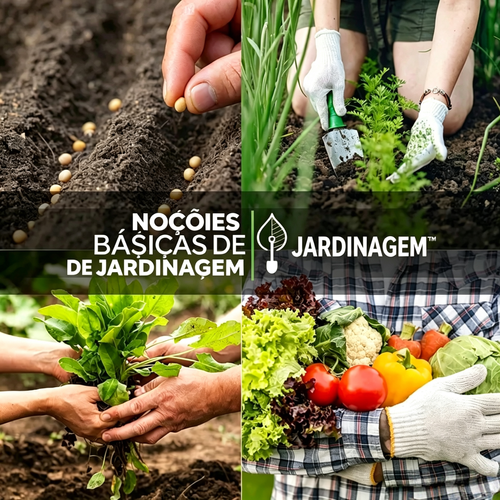 Kit de Armazenamento de Sementes de Legumes – Pacote com 35 variedades, ideal para cultivo em casa e para armazenar sementes de legumes tradicionais. Ótimo presente para quem gosta de jardinagem.