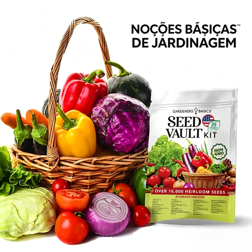 Kit de Armazenamento de Sementes de Legumes – Pacote com 35 variedades, ideal para cultivo em casa e para armazenar sementes de legumes tradicionais. Ótimo presente para quem gosta de jardinagem.