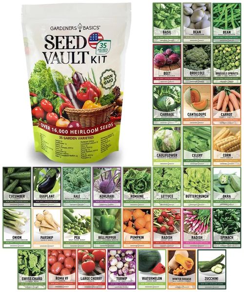 Kit de Armazenamento de Sementes de Legumes – Pacote com 35 variedades, ideal para cultivo em casa e para armazenar sementes de legumes tradicionais. Ótimo presente para quem gosta de jardinagem.