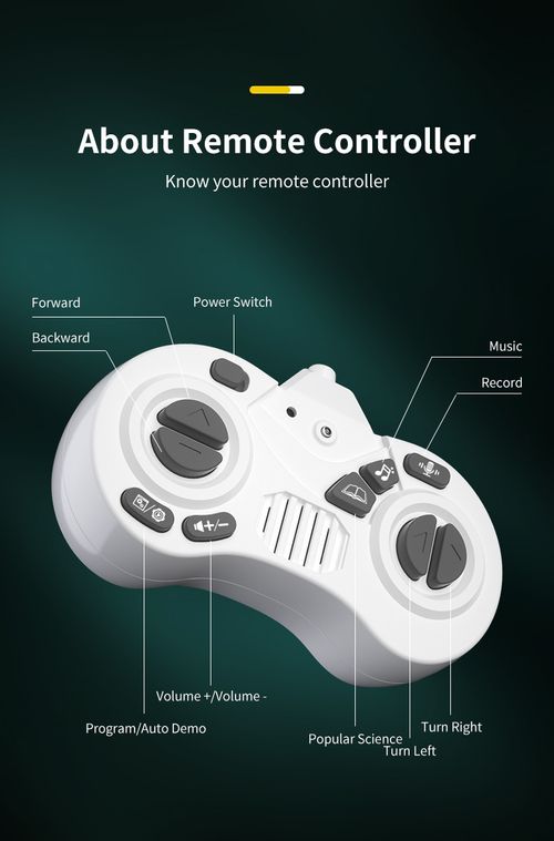 Intelligent Remote Control Electric Programming Robot Children's Early Learning Dancing DIY Toys Robot Models