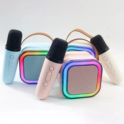 Home Outdoor Portable Rechargeable Waterproof Wireless Karaoke Speaker with Microphone