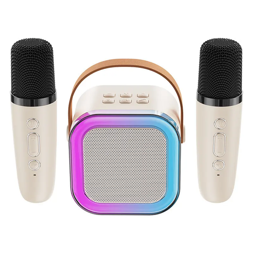 Home Outdoor Portable Rechargeable Waterproof Wireless Karaoke Speaker with Microphone