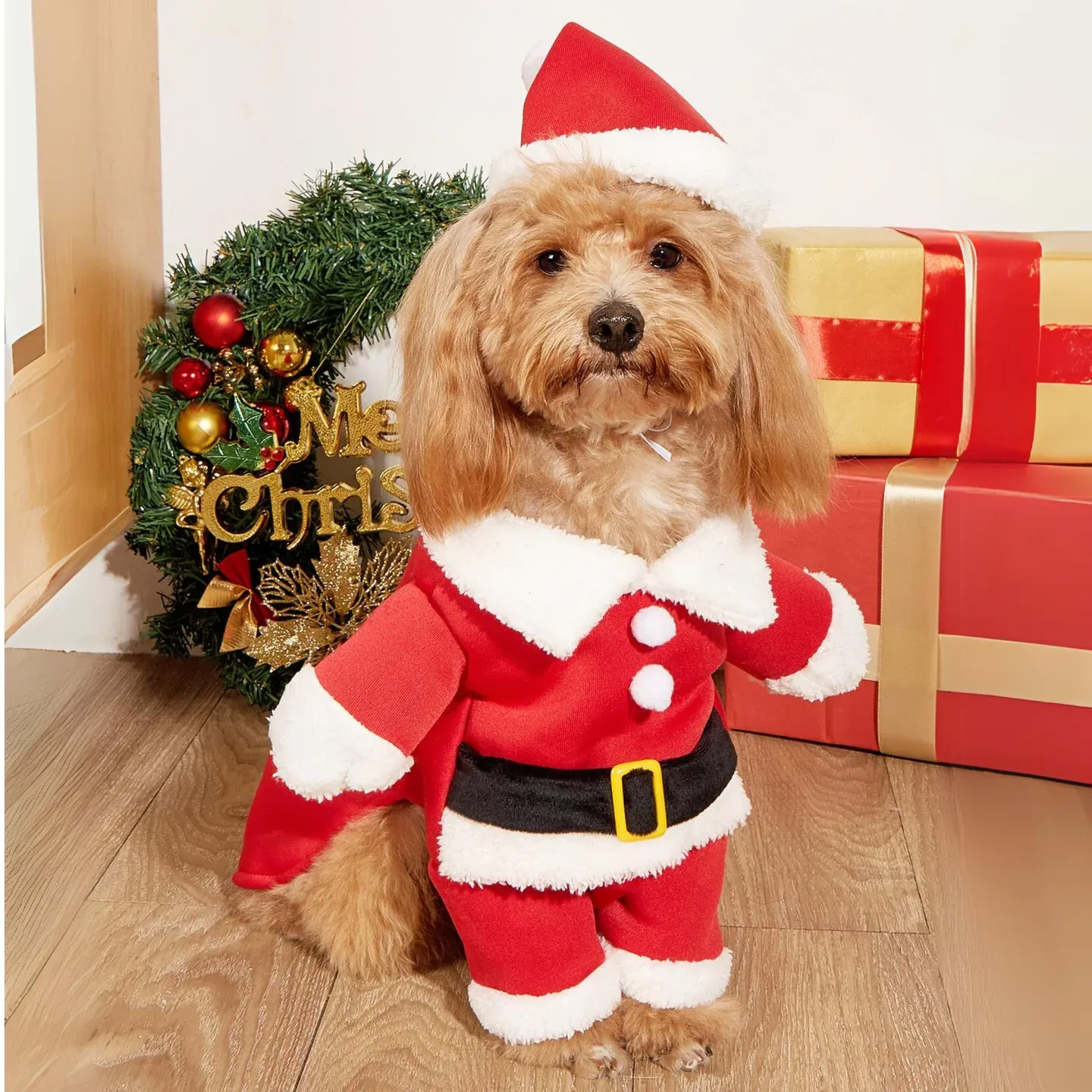 Christmas Santa Pet Costume