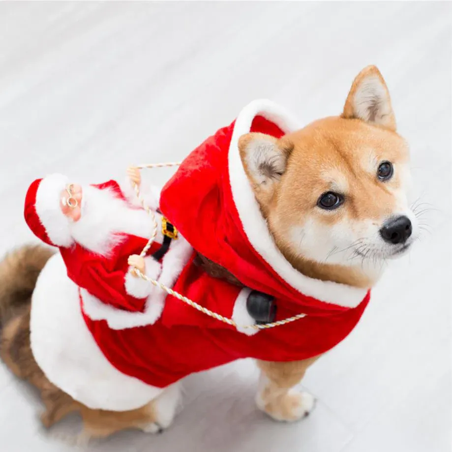 Santa Riding Christmas Pet Costume