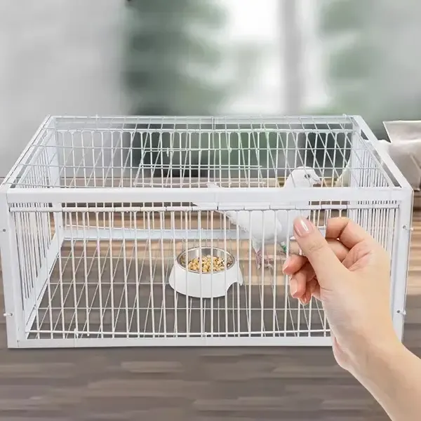 New Design Hot Sale  AutoTrap Bird Cage - Entry Only, No Exit, With Base