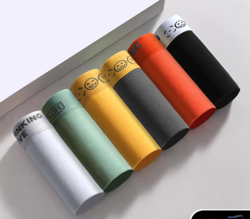 🔥Set of 6 pcs🔥Men's Underwear