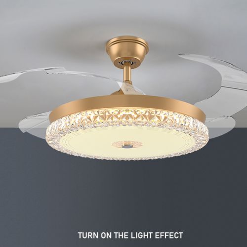 Luxury Ceiling Fan Light - N411