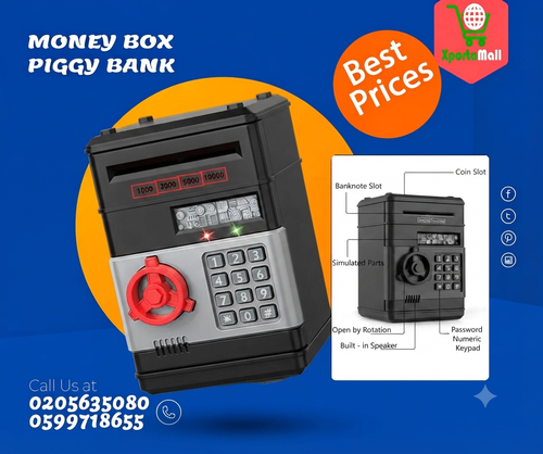 Money Box (Piggy Bank with Password)