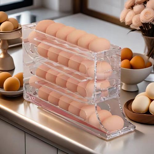 Egg Storage Box
