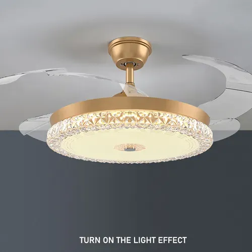 -Luxury Ceiling Fan Light - N411