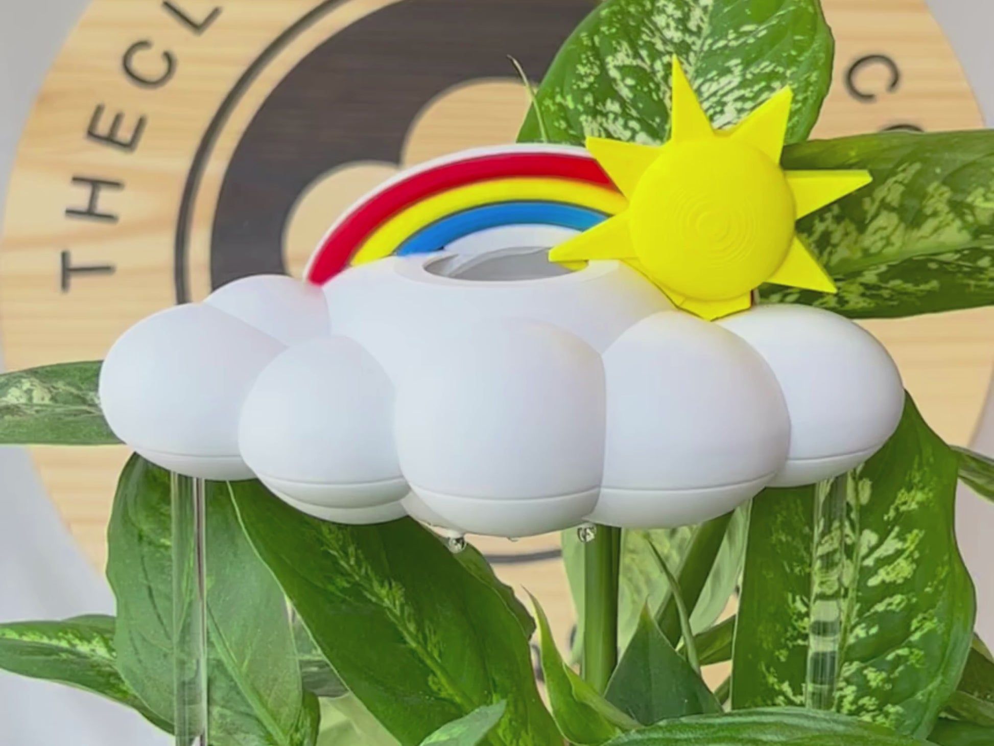 Original Dripping Rain Cloud with Sun and Rainbow