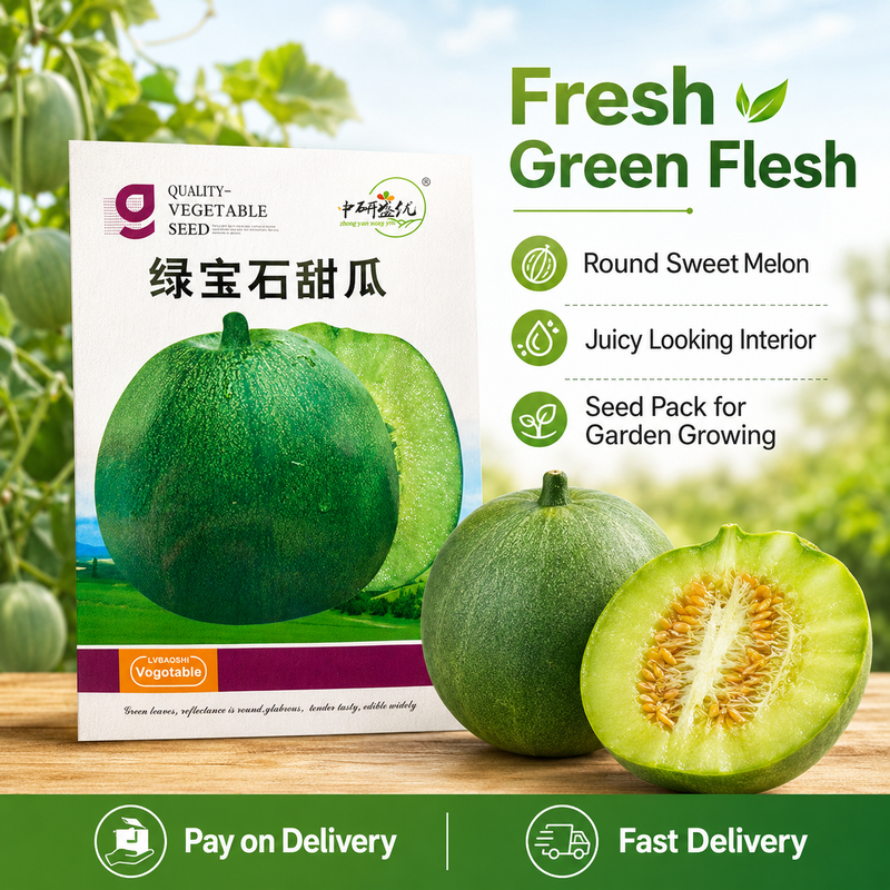 🌱 Buy 1 Get 10 | Green Gem Sweet Melon Seeds 50 Seeds per Pack for Home Garden and Farm Planting | COD Free Shipping