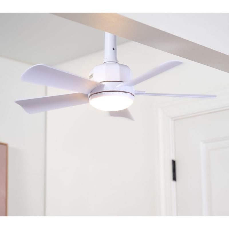 Cascade Pro 2-in-1 Socket 19'' Ceiling Fan & LED Light