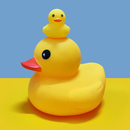 ECO Friendly Rubber Ducks Bulk for Baby Bath Time Soft Toys