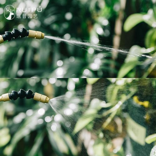 Home Gardening Green Plant Watering Kettle Agricultural Gardening Hand Pressure Sprayer