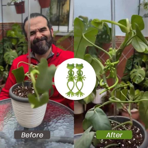 2025 New Frog Plant Stand Flower Pot Hugger Plant Climbing Fixture Clips Plant Vine Traction for Garden