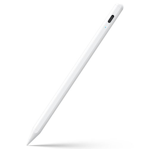 iPad stylus