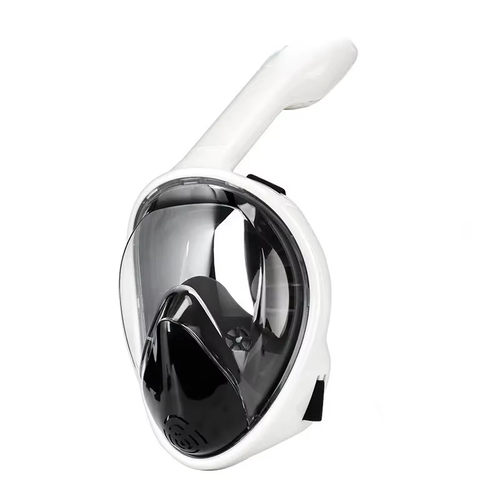 Snorkeling and scuba diving equipment