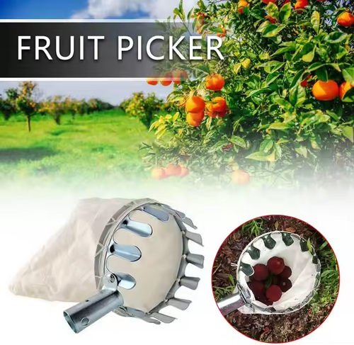 Picking Pole with Basket Telescopic Portable Fruit Picker